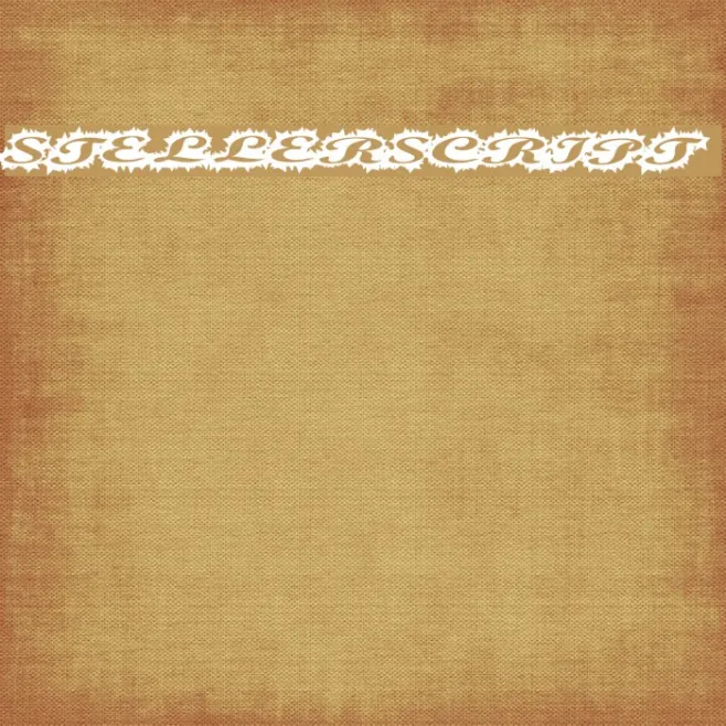 StellerScript Example 2