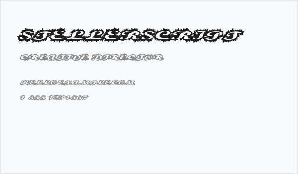 StellerScript Business Card