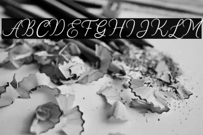 Stellina Font examples