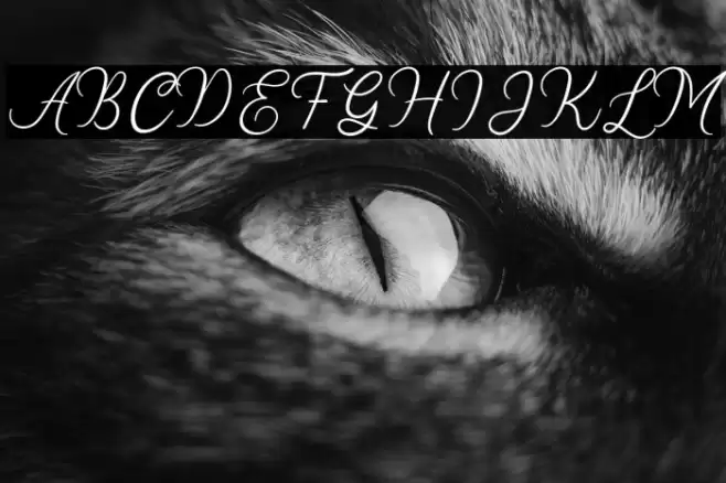 Stellina Font examples