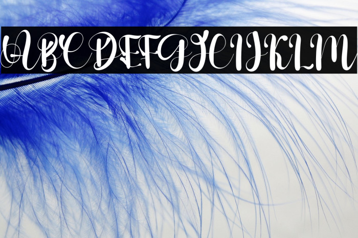 Stelling Spring Example 1