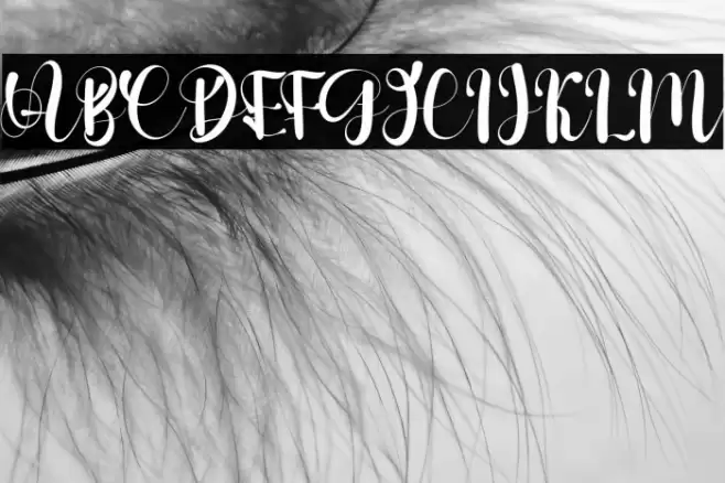 Stelling Spring Font examples