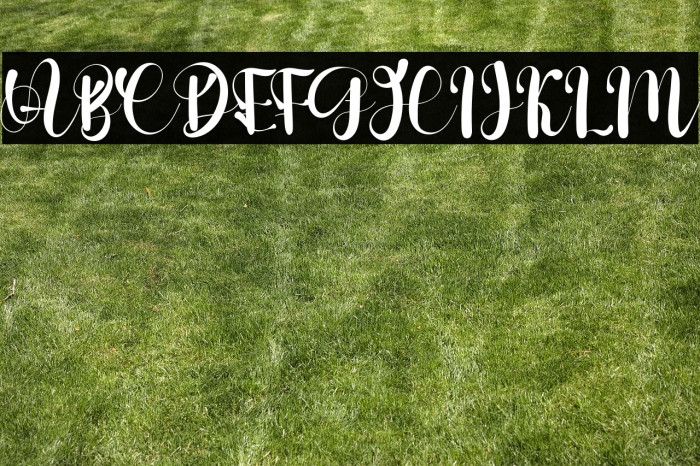 Stelling Spring Example 2