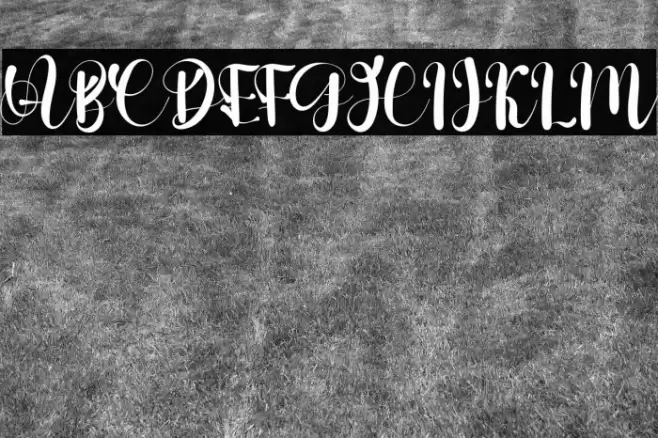 Stelling Spring Font examples