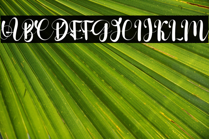 Stelling Spring Example 3