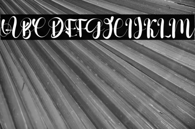 Stelling Spring Font examples