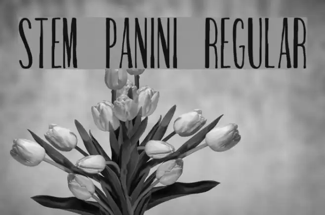 Stem Panini Regular Font examples