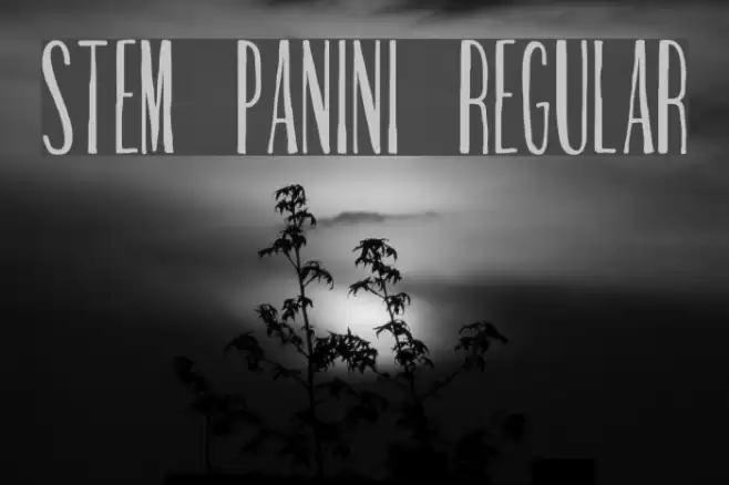 Stem Panini Regular Font examples