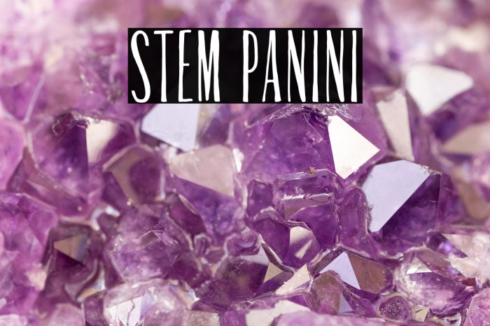 Stem Panini Example 2