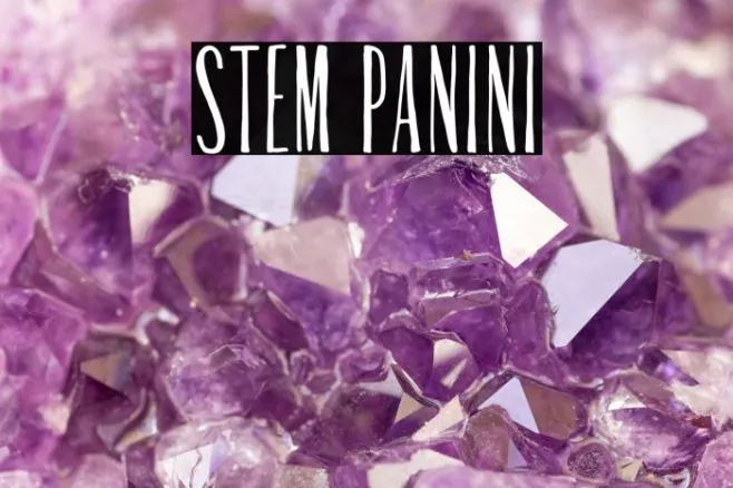 Stem Panini Example 2