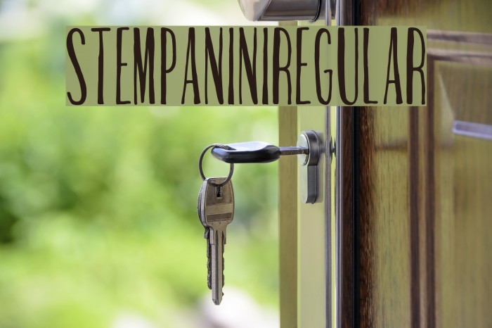 StemPanini-Regular Font examples