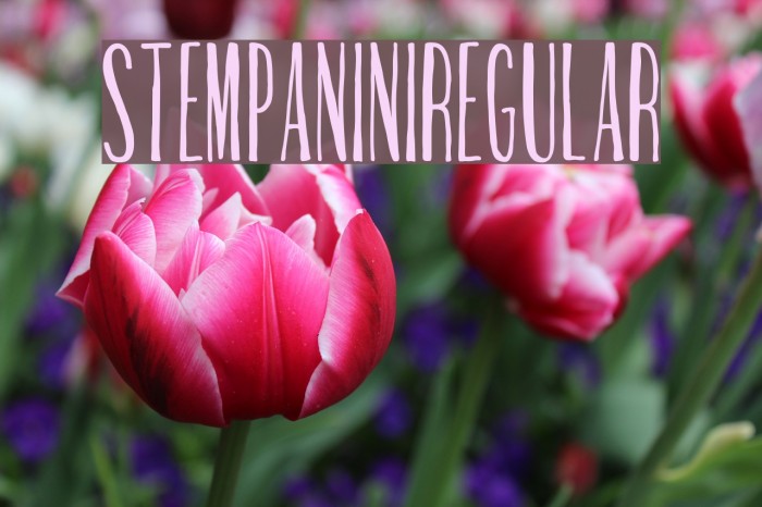 StemPanini-Regular Font examples