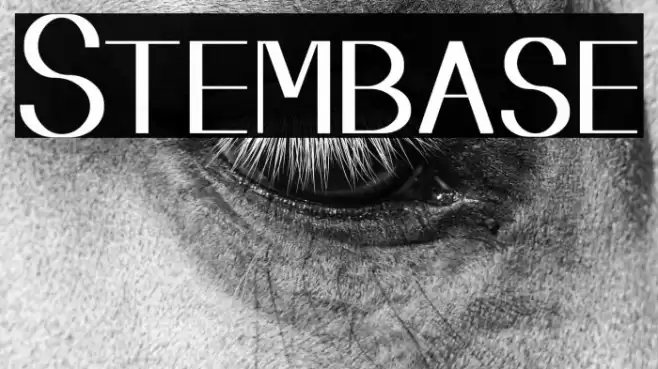 Stembase Font examples