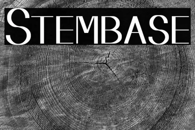 Stembase Font examples