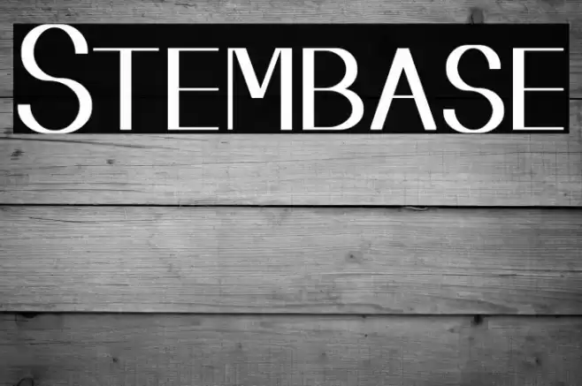 Stembase Font examples