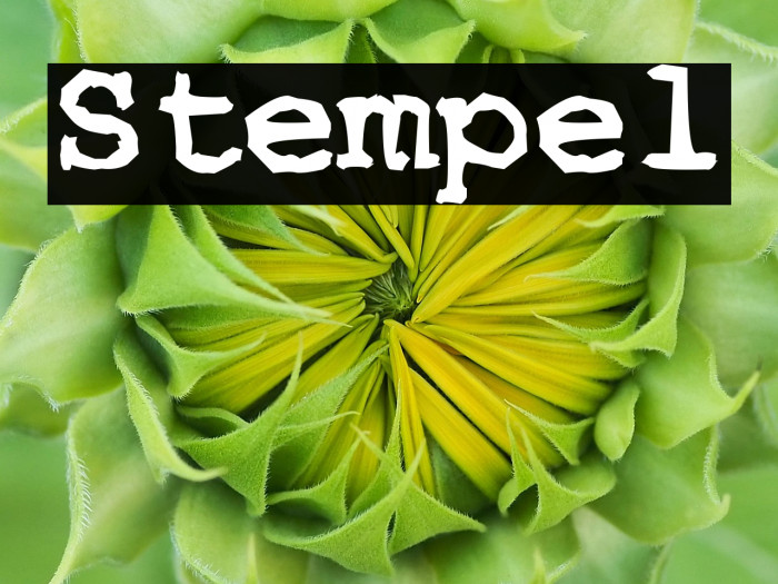 Stempel Example 1