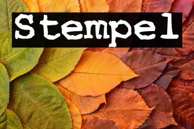 Stempel Example 3