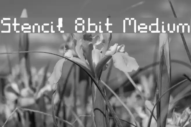 Stencil 8bit Medium Font examples