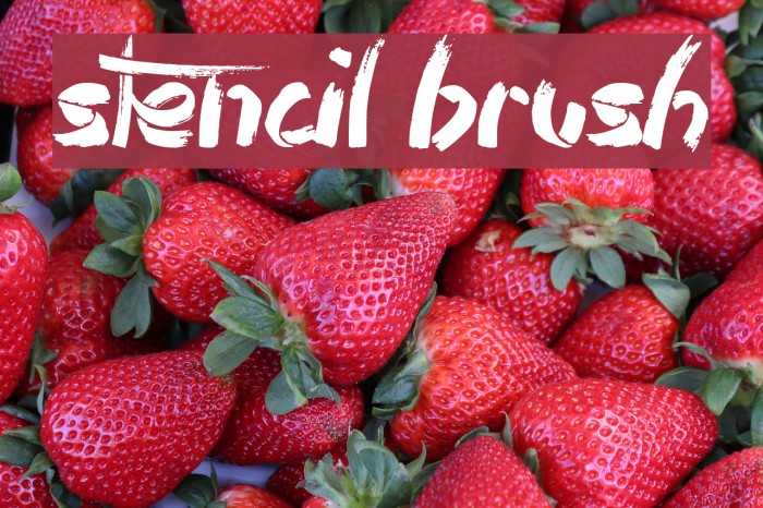 Stencil Brush Caratteri examples