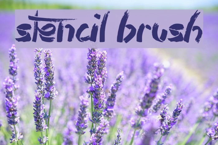 Stencil Brush Caratteri examples