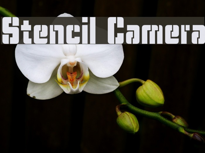 Stencil Camera Font examples