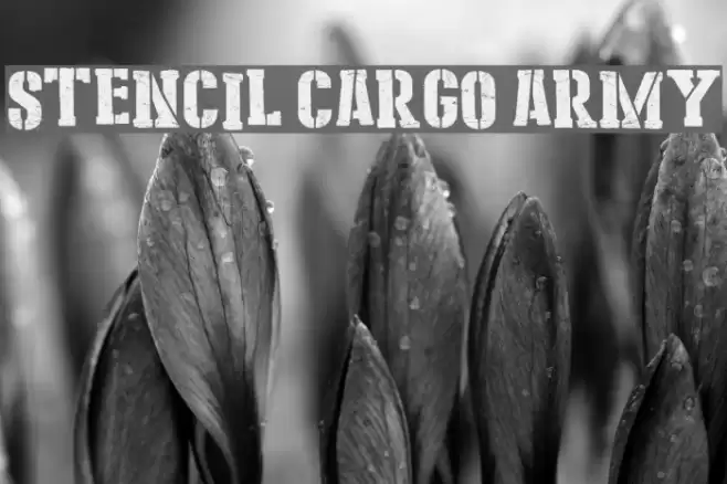 Stencil Cargo Army Font examples