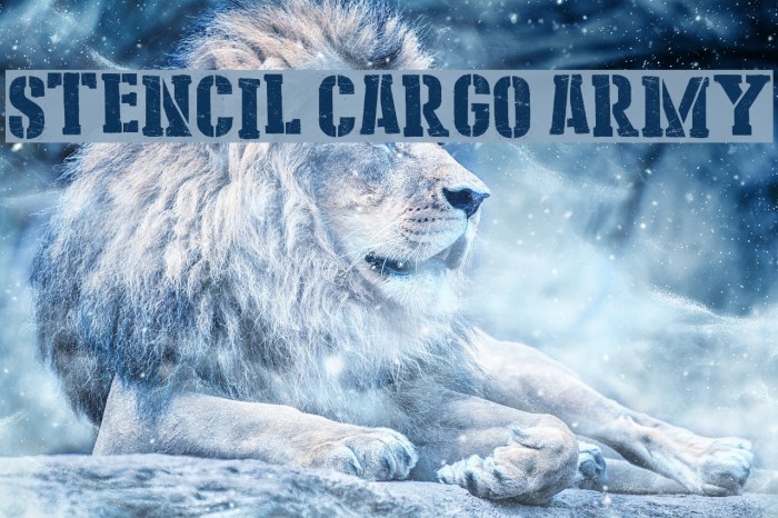 Stencil Cargo Army Example 3