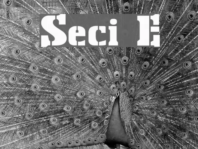 Stencil Export Font examples