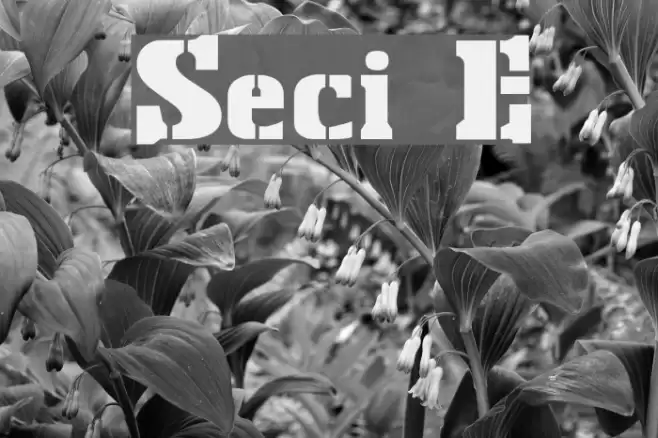 Stencil Export Font examples