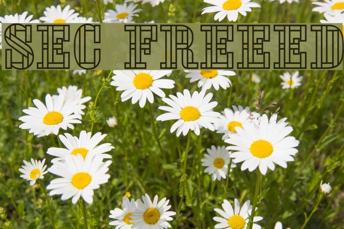 Stencil FourReversed Font examples