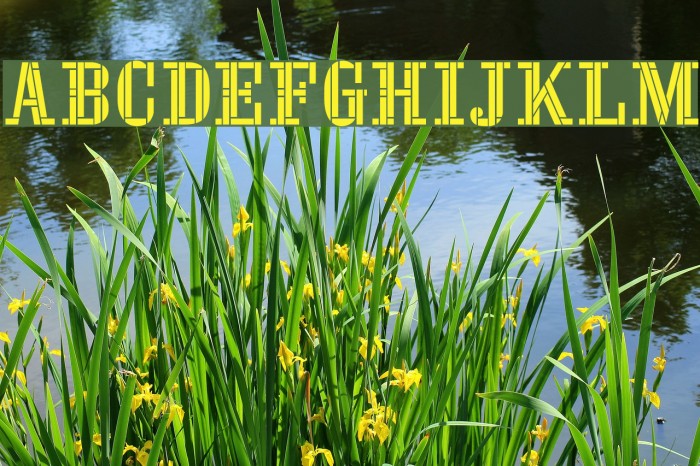 Stencil Four Font examples