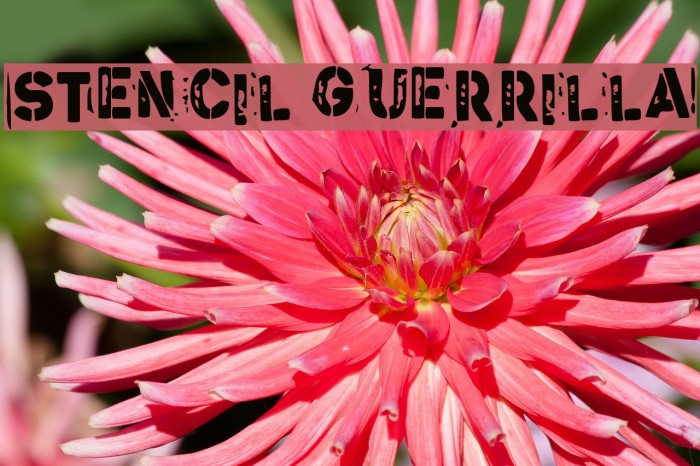 Stencil Guerrilla Font examples