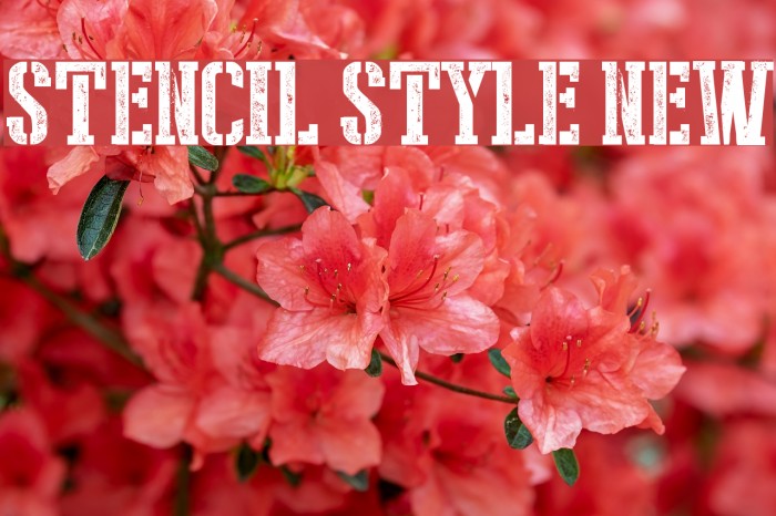 Stencil Style New Font examples