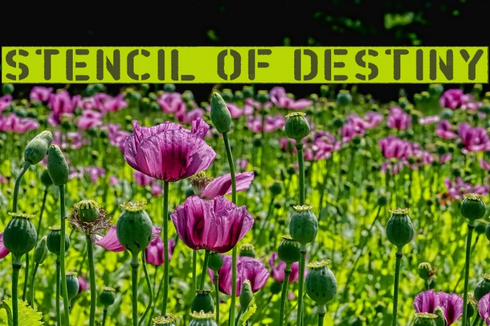 Stencil of Destiny Font examples