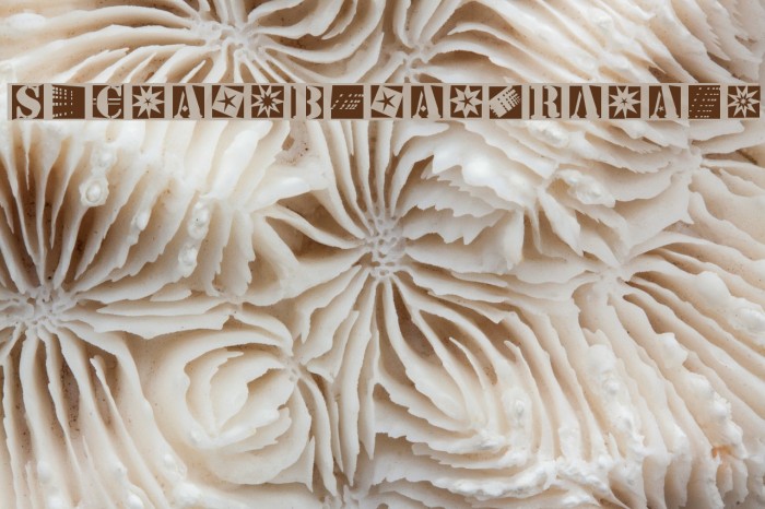StencilBricksRandom Font examples