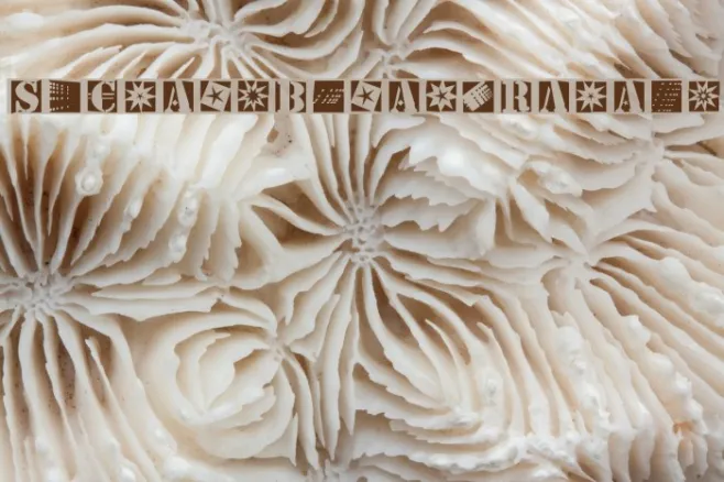 StencilBricksRandom Example 1