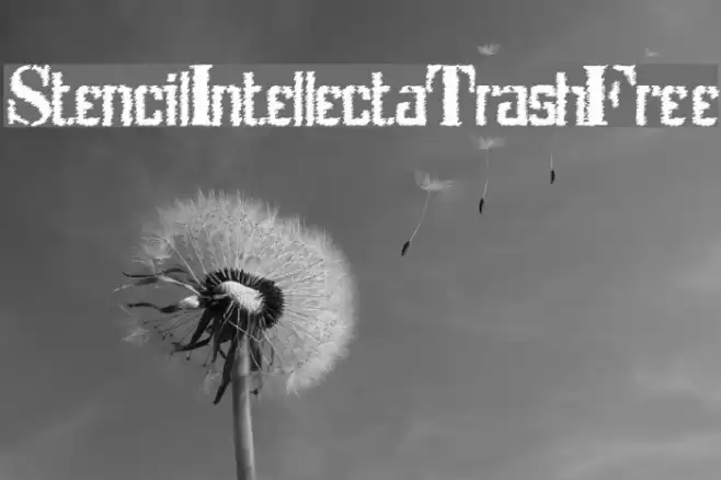 StencilIntellectaTrashFree Font examples