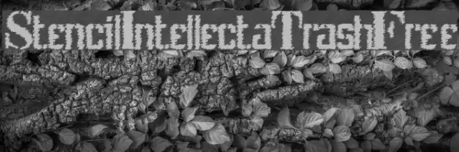 StencilIntellectaTrashFree Font examples
