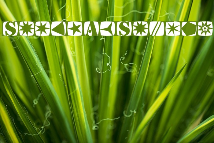 StencilStamps Example 2