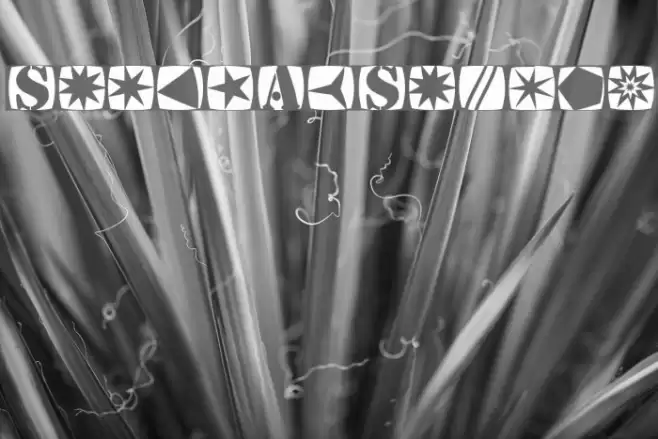 StencilStamps Font examples