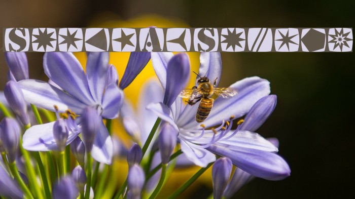 StencilStamps Example 3