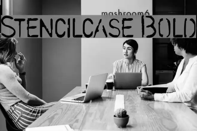 Stencilcase Bold Font examples