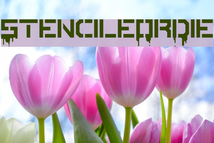 StencileOrDie Example 3