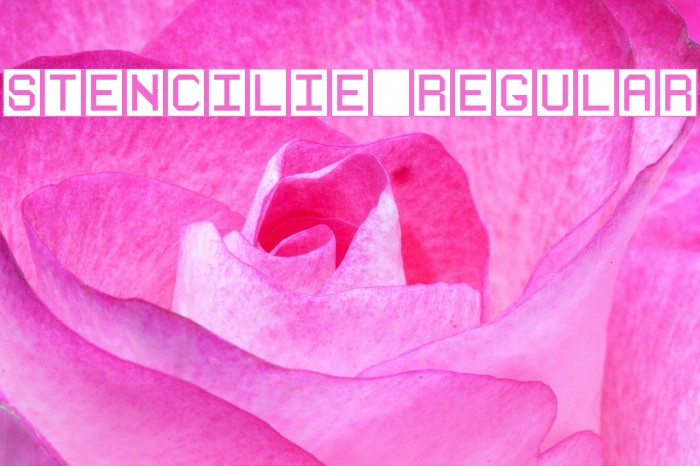 Stencilie Regular Example 2