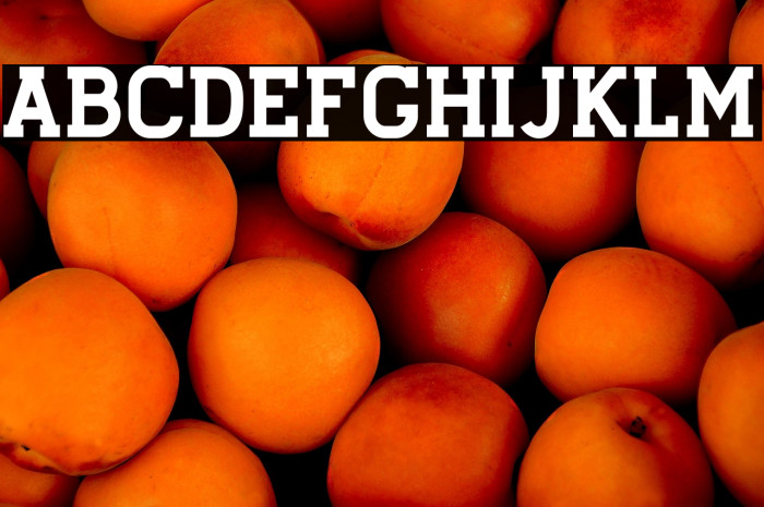 Stengkol01 Example 2