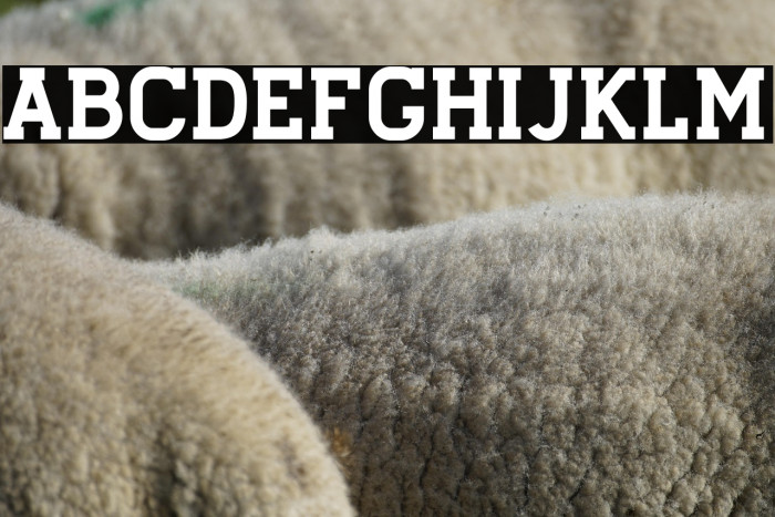 Stengkol01 Example 3