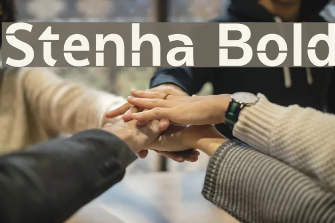 Stenha Bold Example 2