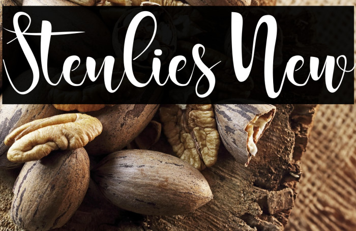 Stenlies New Example 1