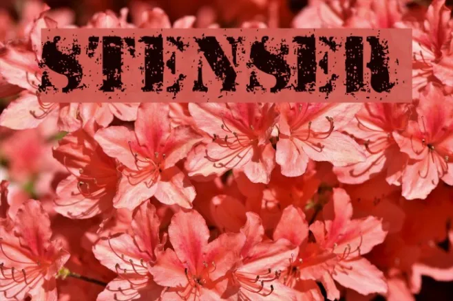 StensEr Example 2