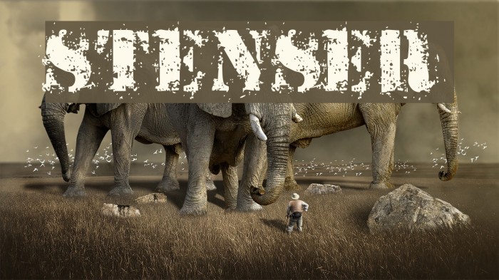 StensEr Font examples